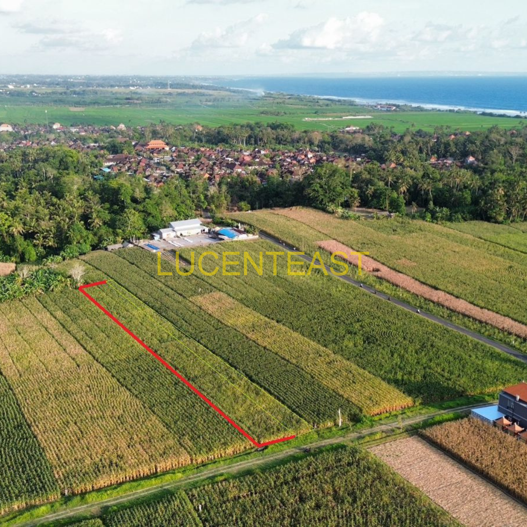 DiJual Tanah di Braban Tabanan DiJual Tanah di Braban Tabanan