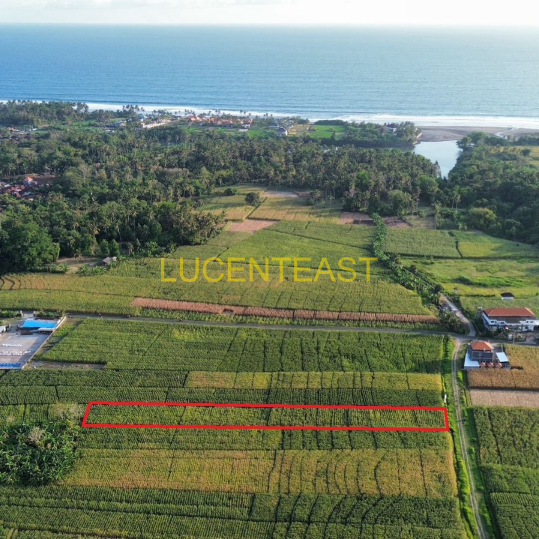 DiJual Tanah di Braban Tabanan DiJual Tanah di Braban Tabanan