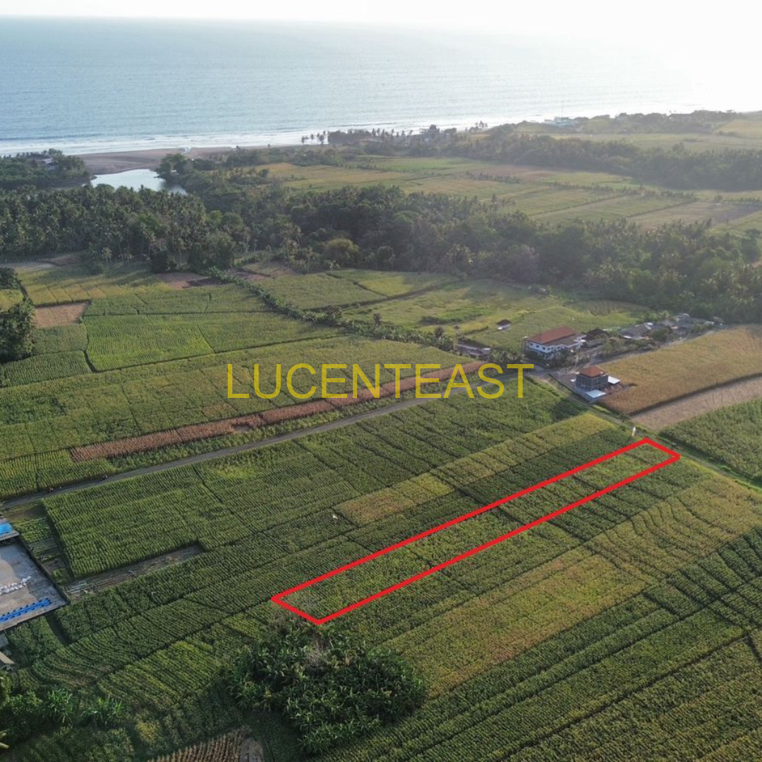 DiJual Tanah di Braban Tabanan DiJual Tanah di Braban Tabanan