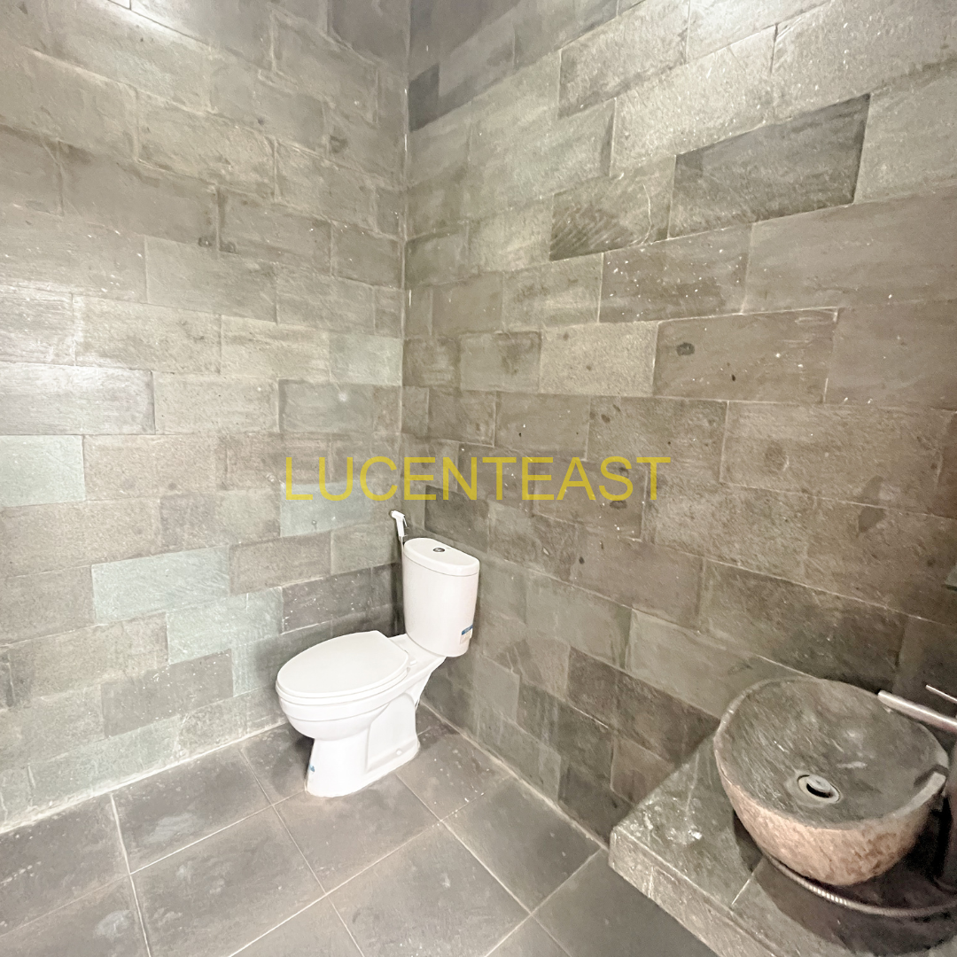 Beautiful freehold hill view villa