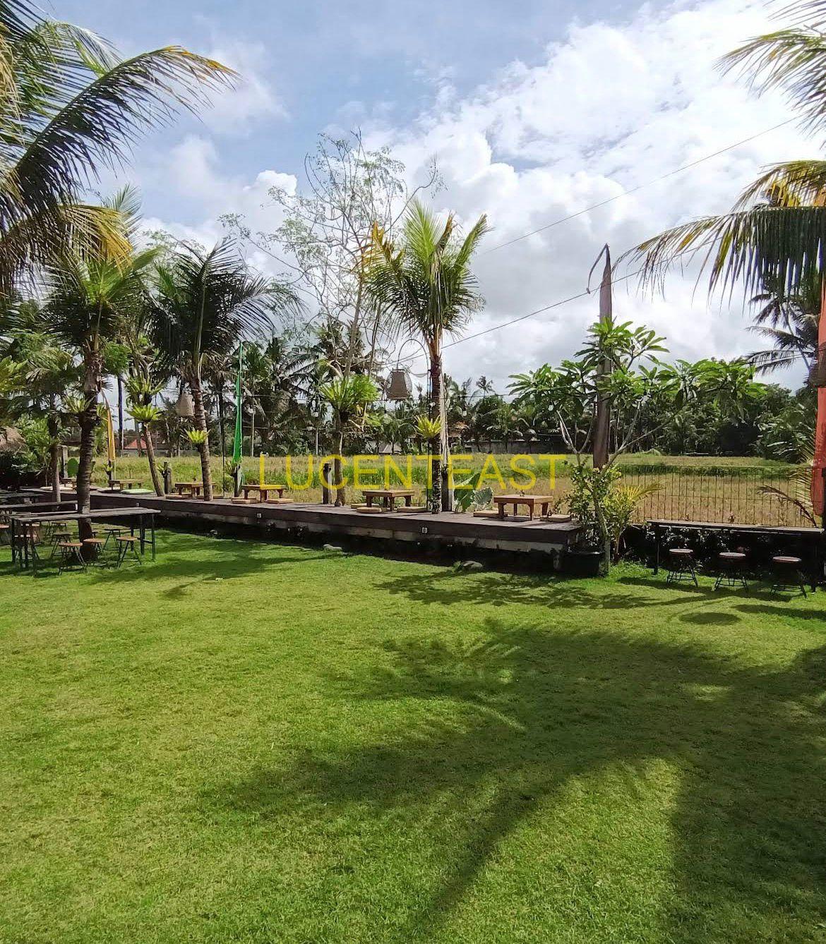 JUAL TANAH DI JALAN UTAMA GLOGOR CARIK