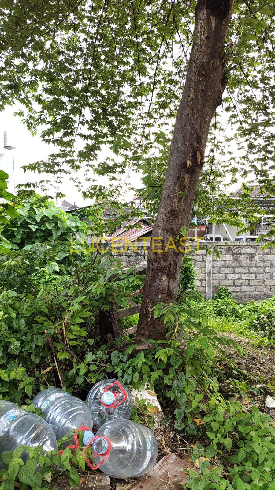 JUAL TANAH DI JALAN UTAMA GLOGOR CARIK