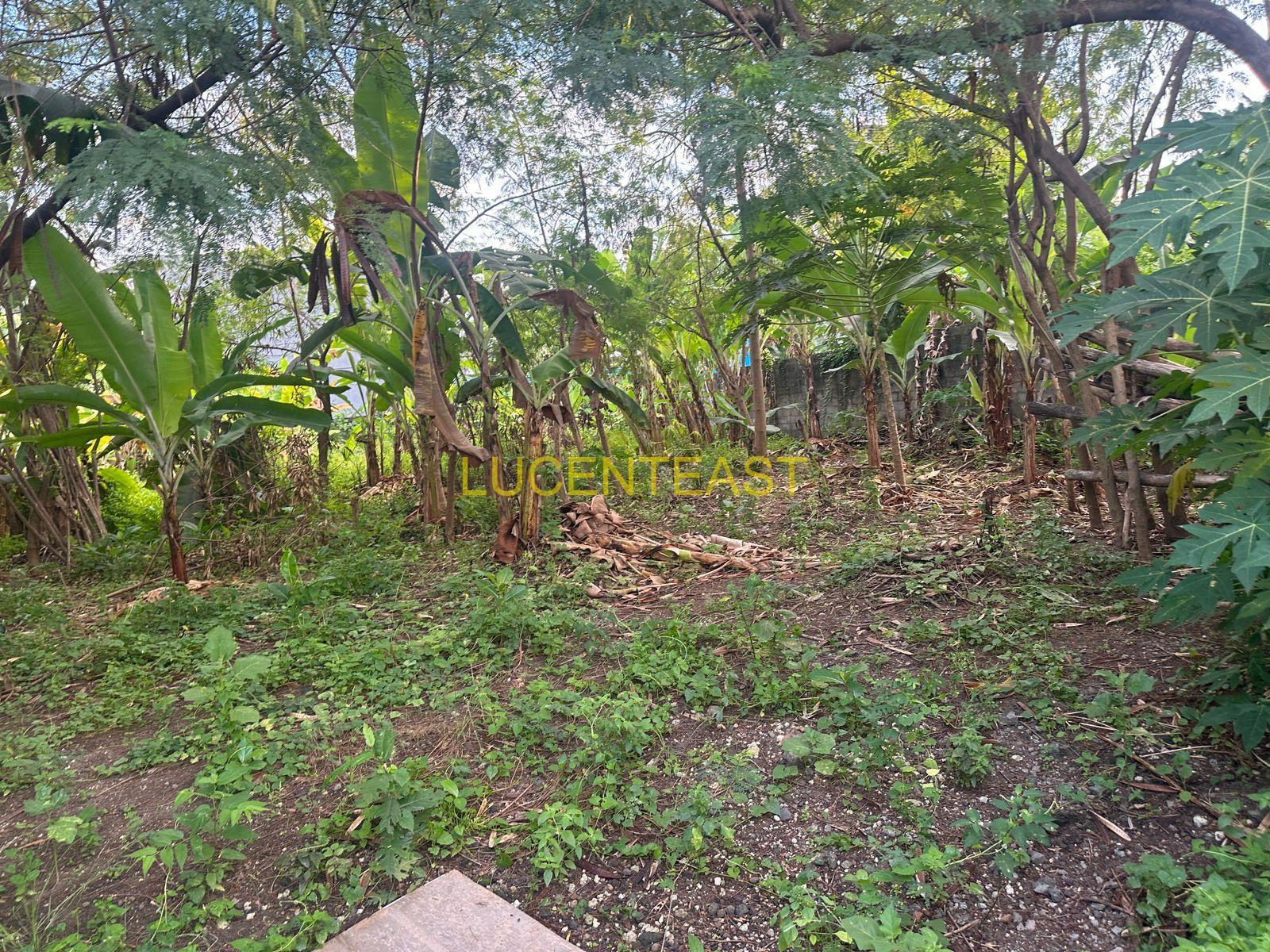 JUAL TANAH SEDAP MALEM