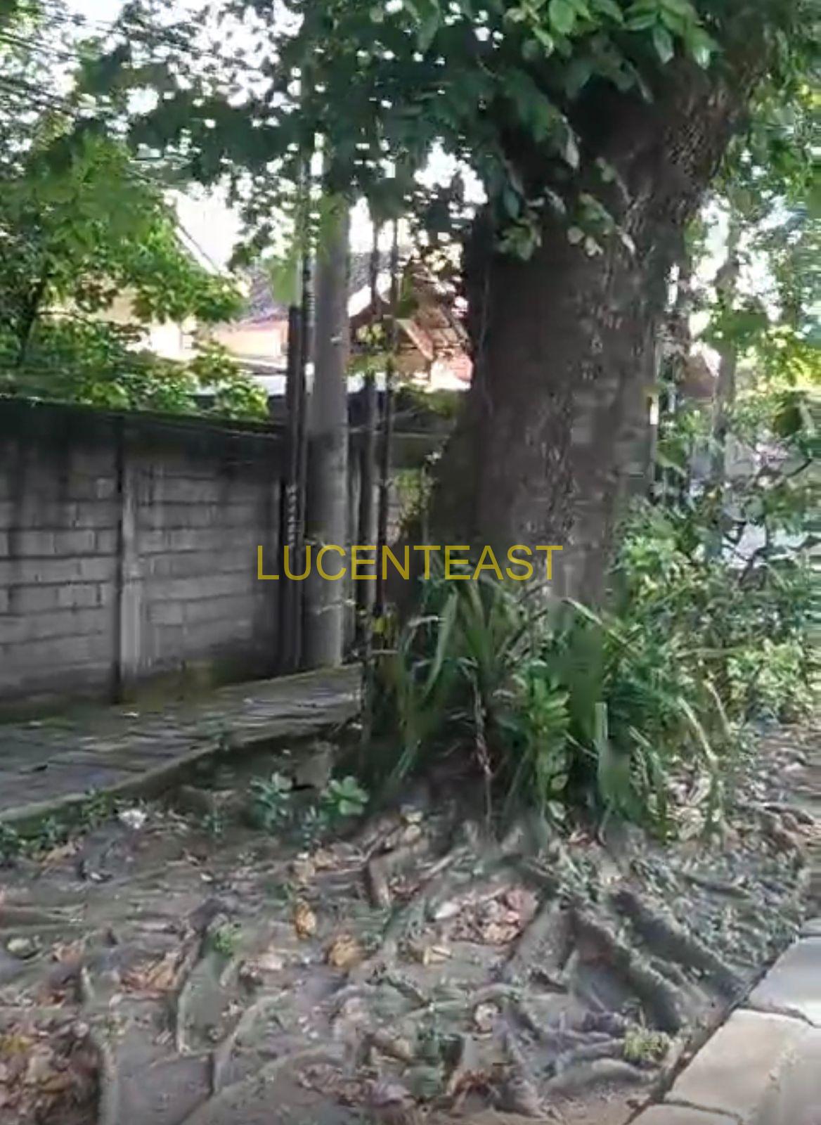 JUAL TANAH DI LOKASI RENON