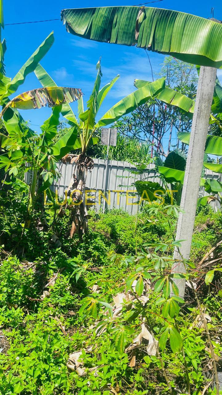 JUAL TANAH HANGTUAH SANUR