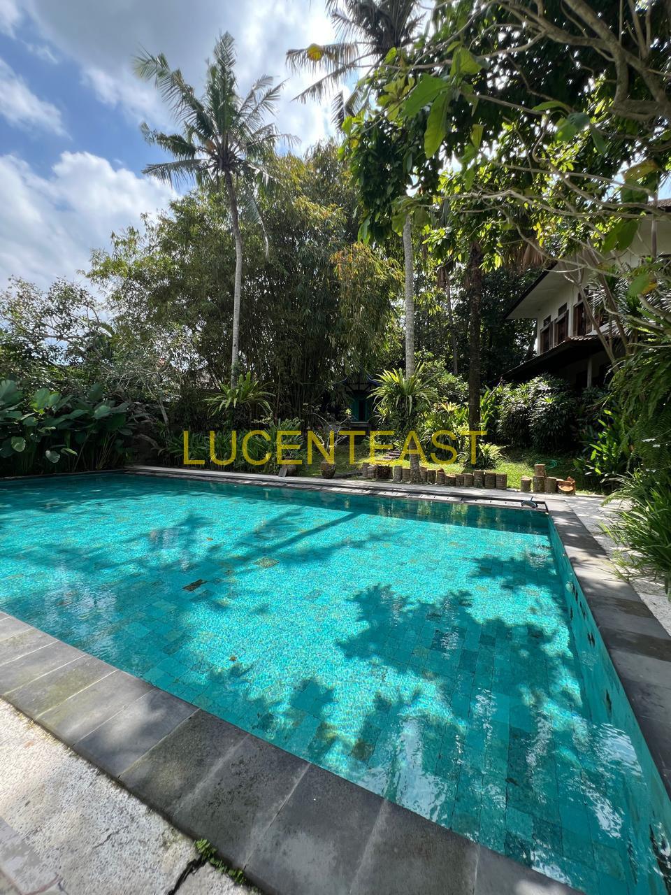 JUAL VILLA BAGUS BUMBAK CANGGU