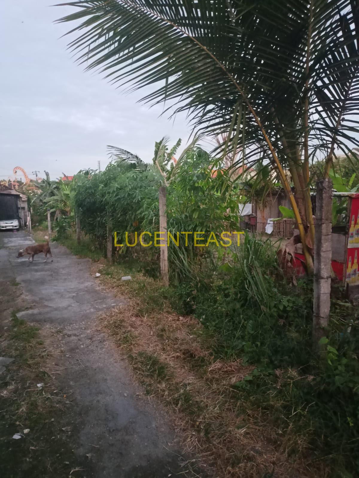 DIJUAL TANAH NYAMAN LOKASI SIULAN