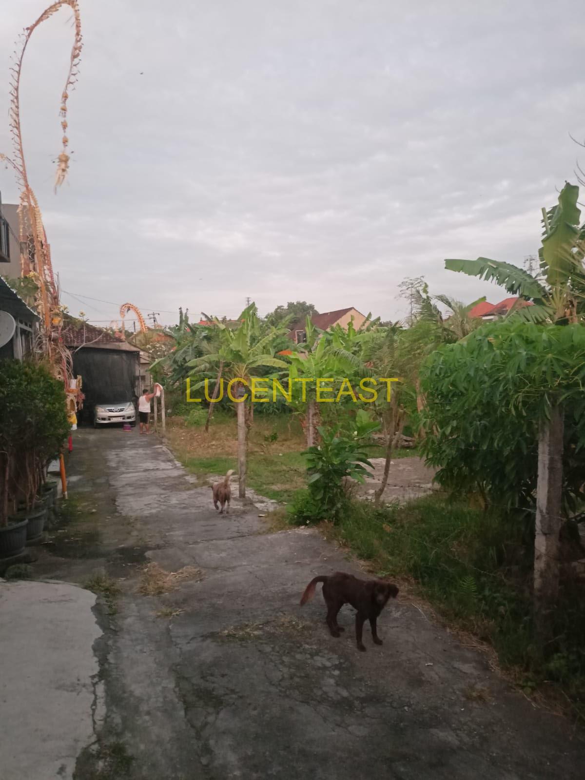 DIJUAL TANAH NYAMAN LOKASI SIULAN