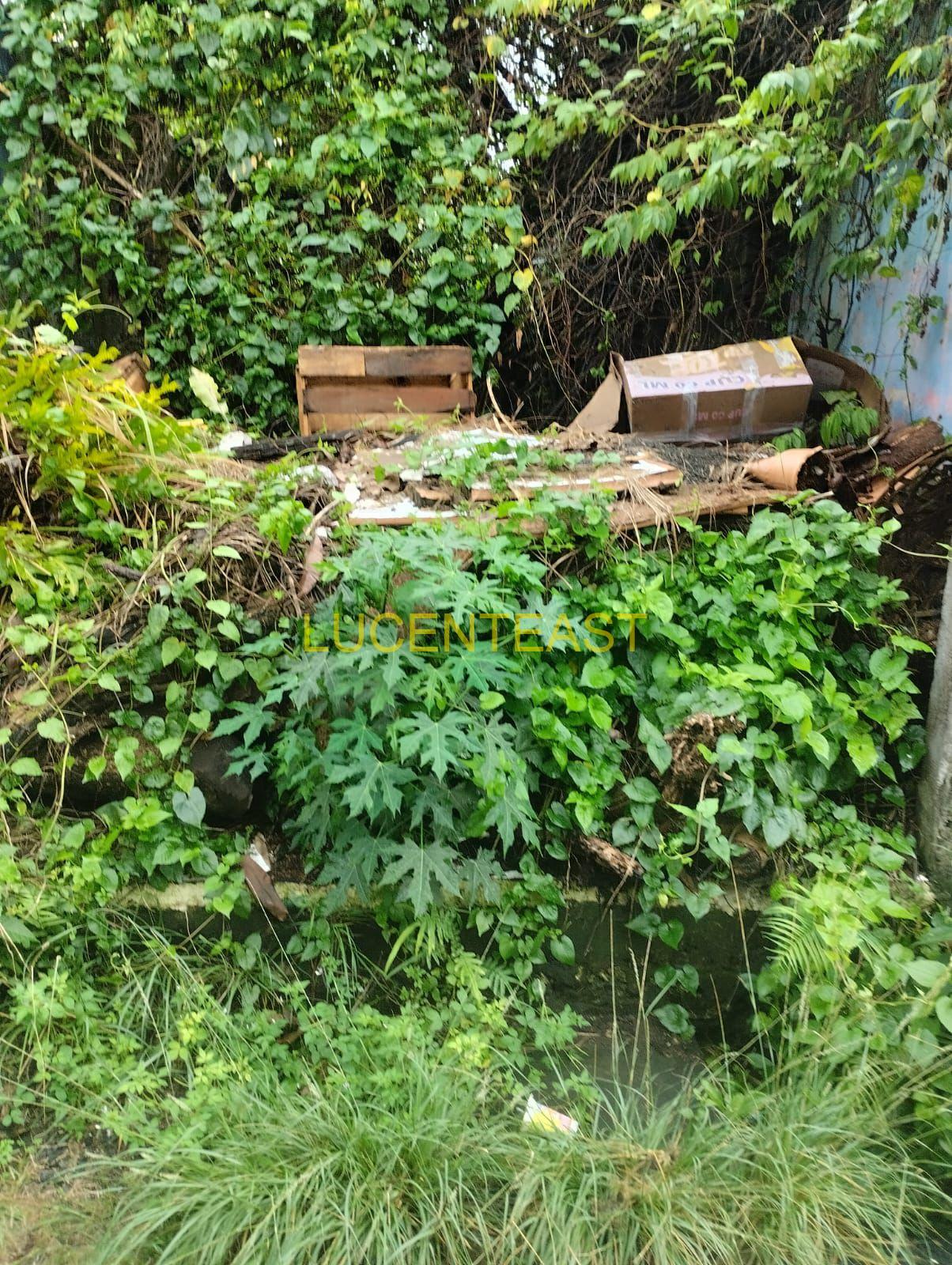 DIJUAL TANAH  BAGUS KEROBOKAN