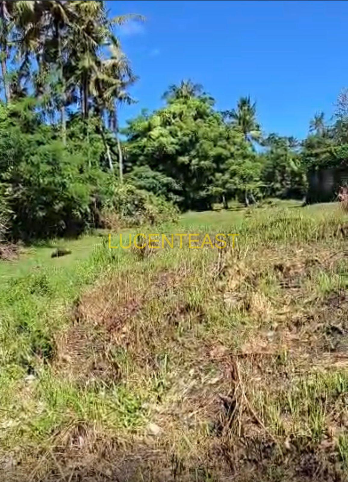 JUAL TANAH VIEW PANTAI GIANYAR