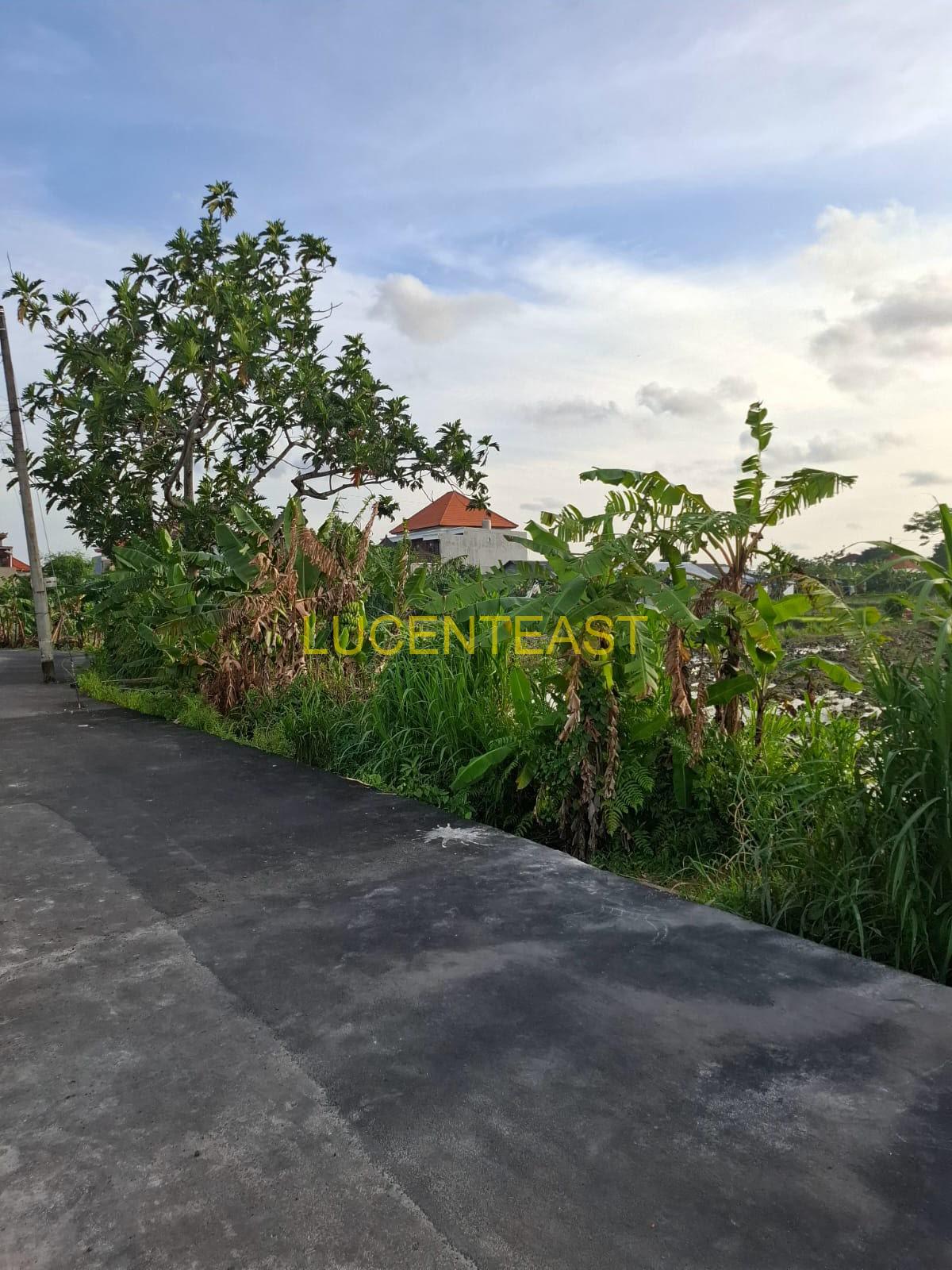 DIJUAL TANAH LOKASI PERUMAHAN SEDAP MALAM