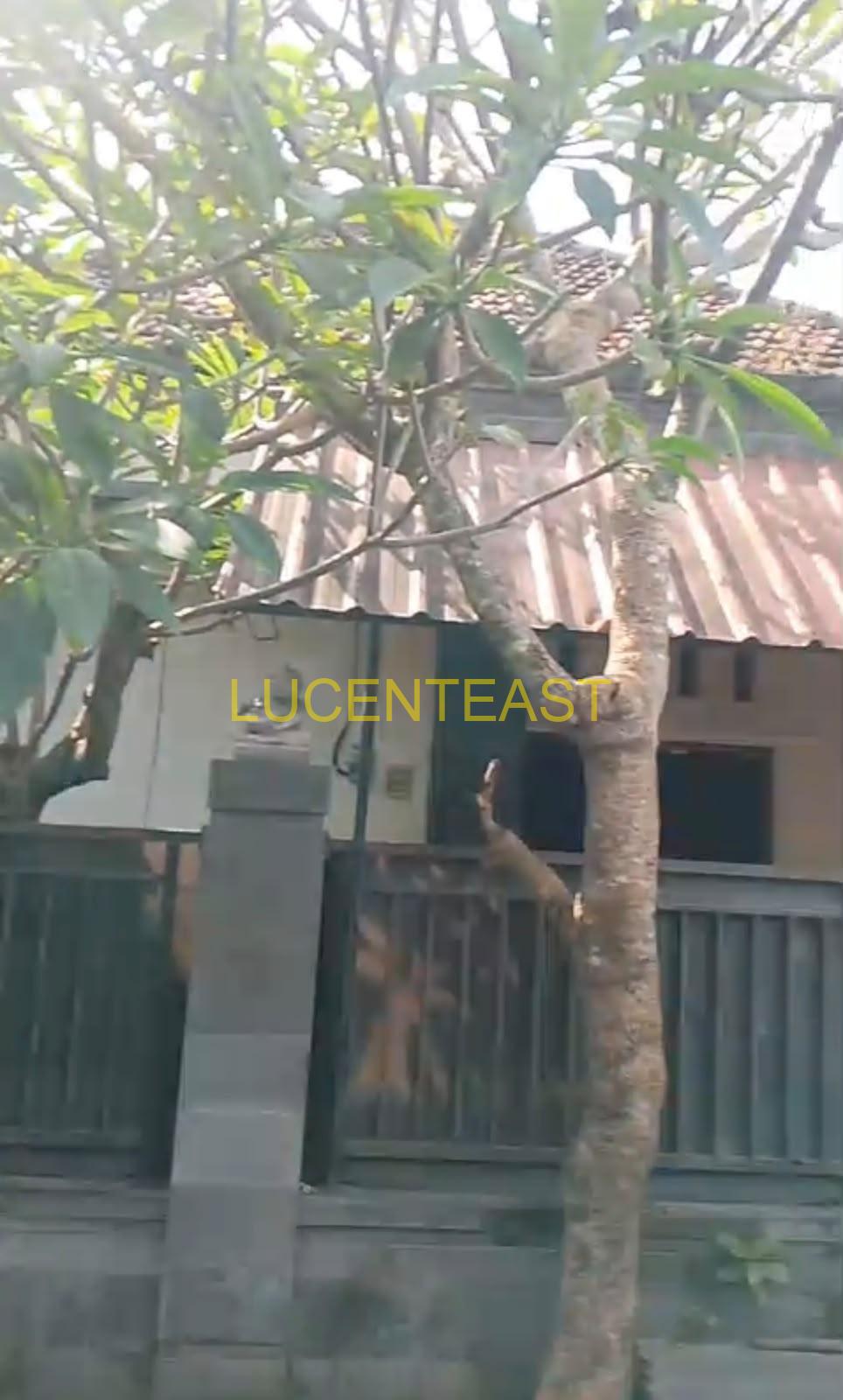 DIJUAL TANAH LOKASI BUNG TOMO DENPASAR