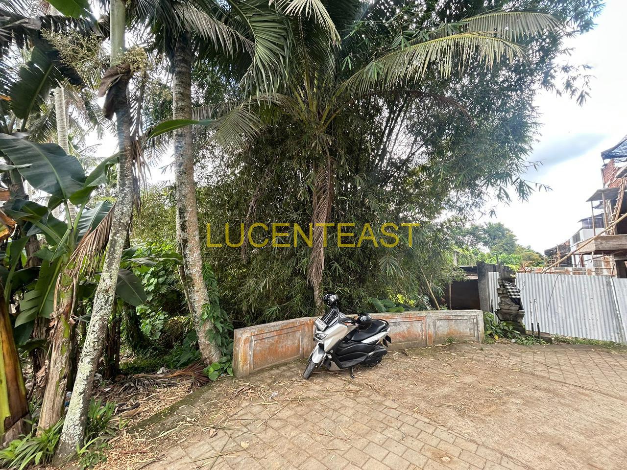 DIJUAL TANAH KEMENUH GIANYAR