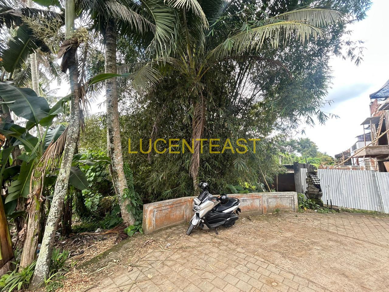 DIJUAL TANAH KEMENUH GIANYAR