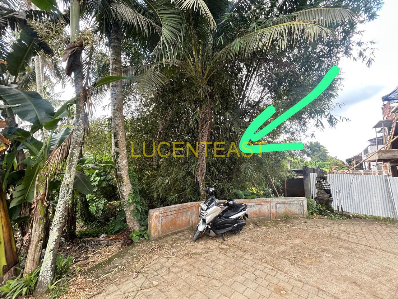 DIJUAL TANAH KEMENUH GIANYAR
