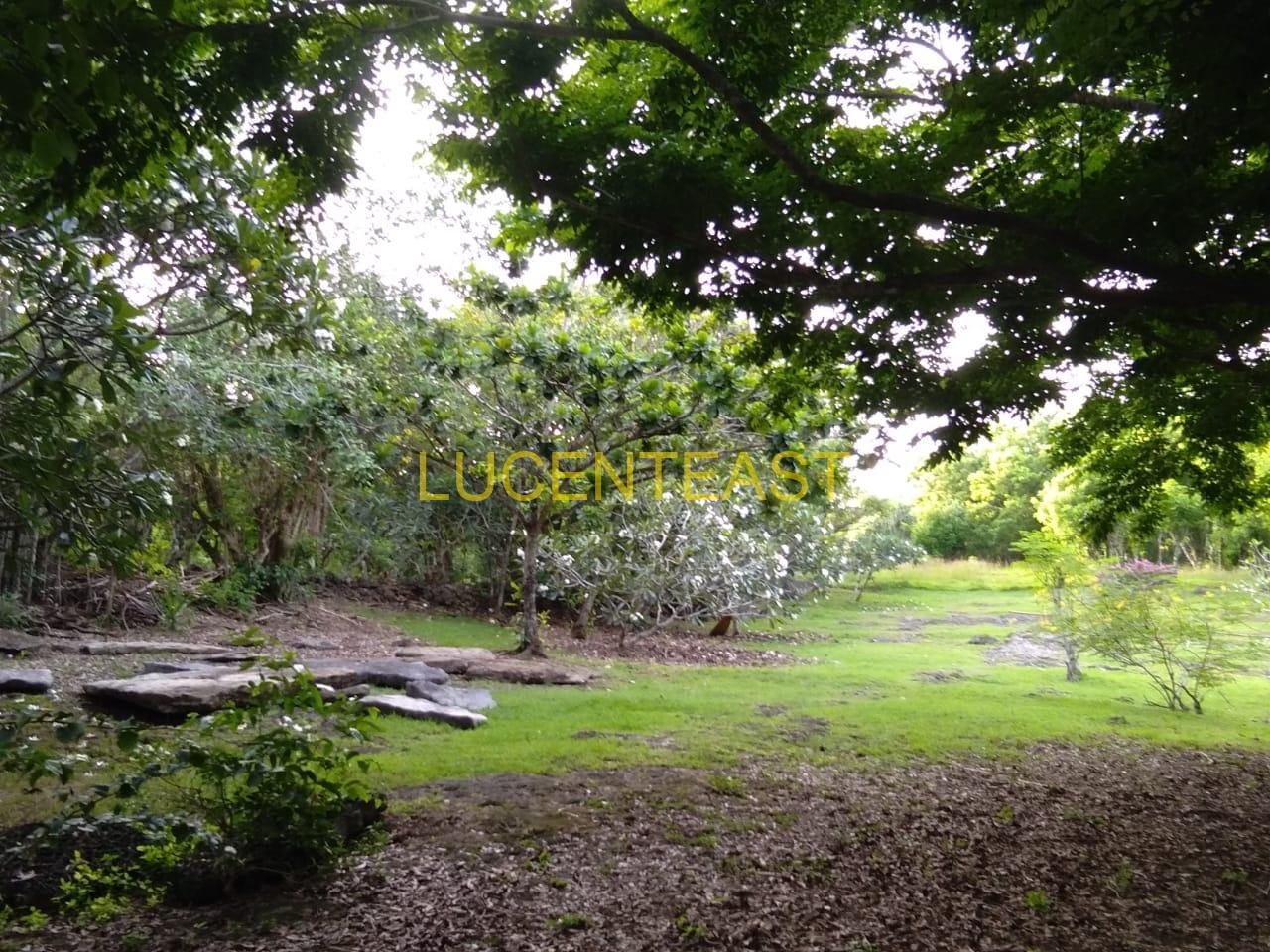 FOR SALE LAND AT UNGASAN BEACH