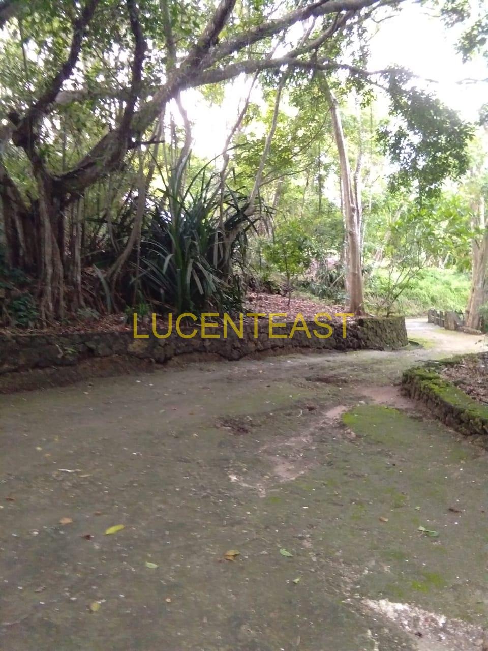 FOR SALE LAND AT UNGASAN BEACH