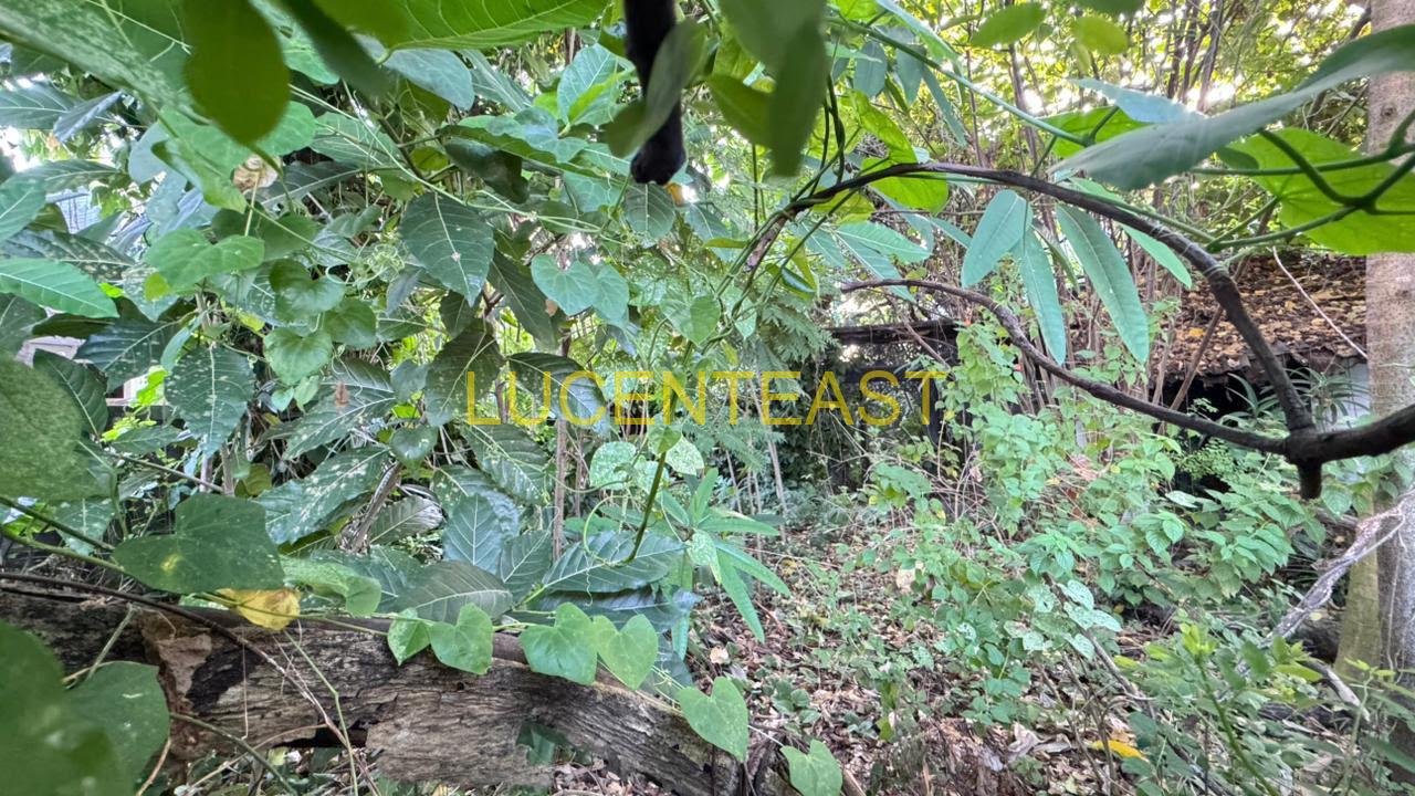 DIJUAL TANAH BAGUS JL.BADAK RENON