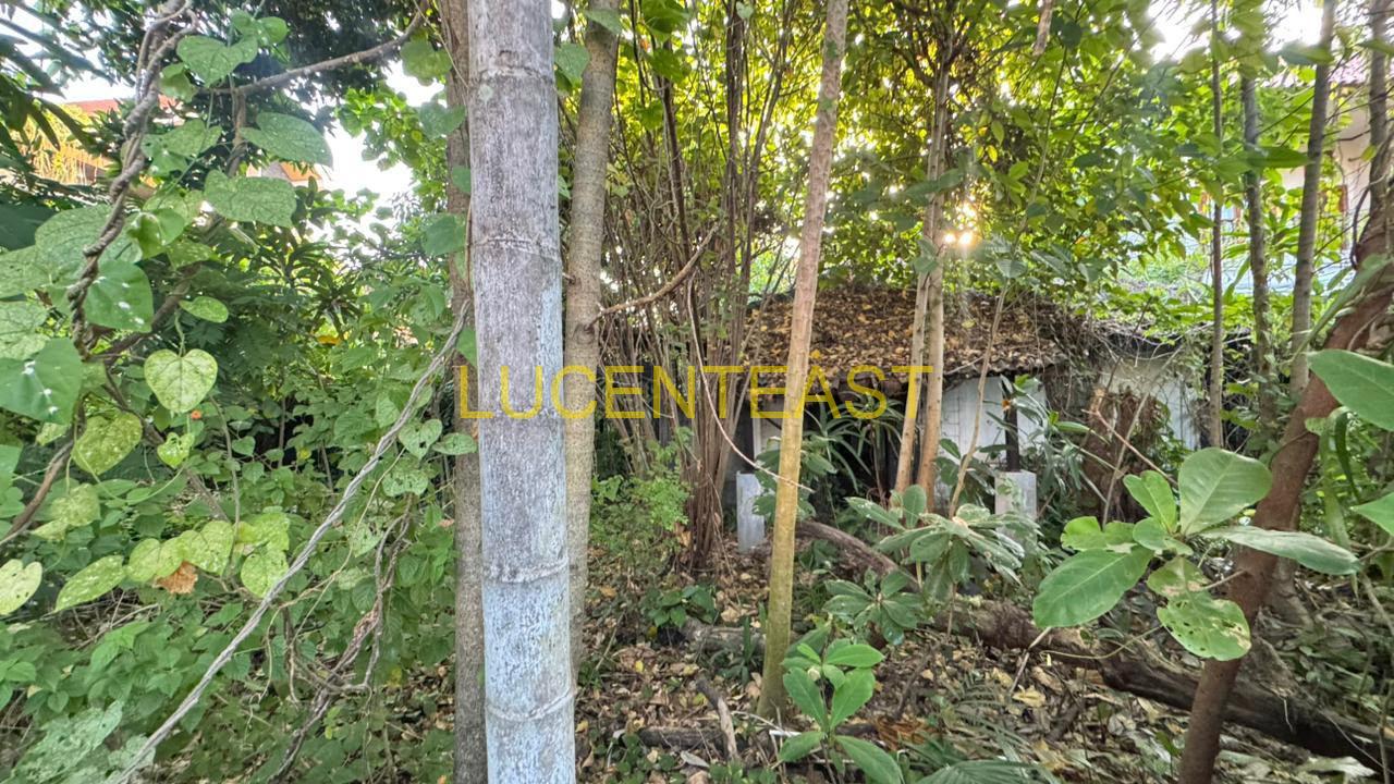 DIJUAL TANAH BAGUS JL.BADAK RENON