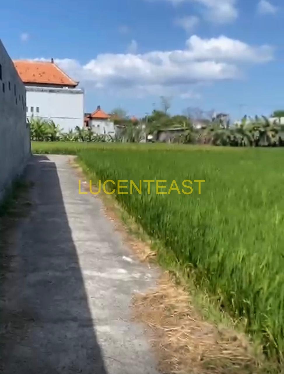 JUAL KOST ARE GIANYAR