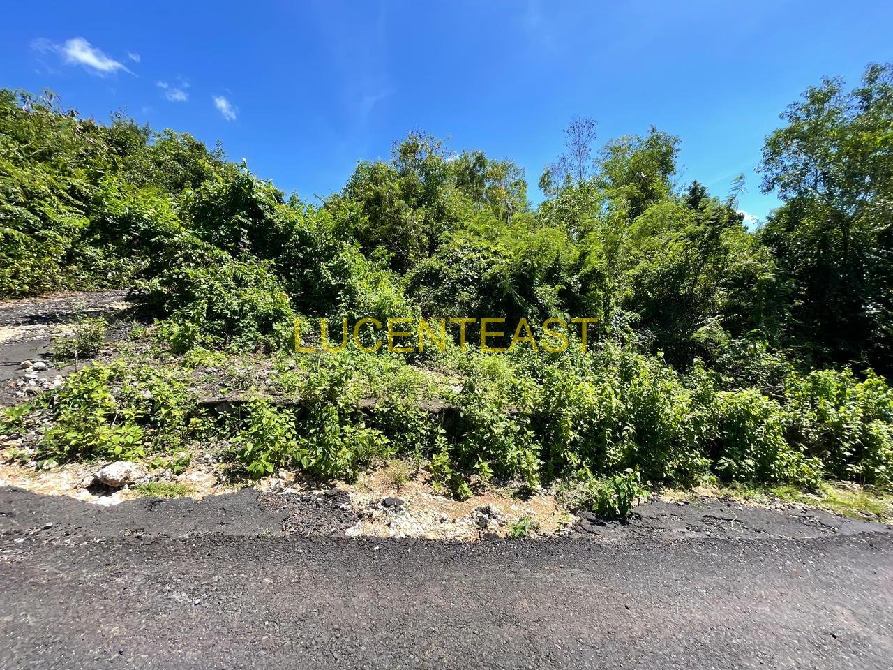 DIJUAL TANAH KAVLING LOKASI UNGASAN