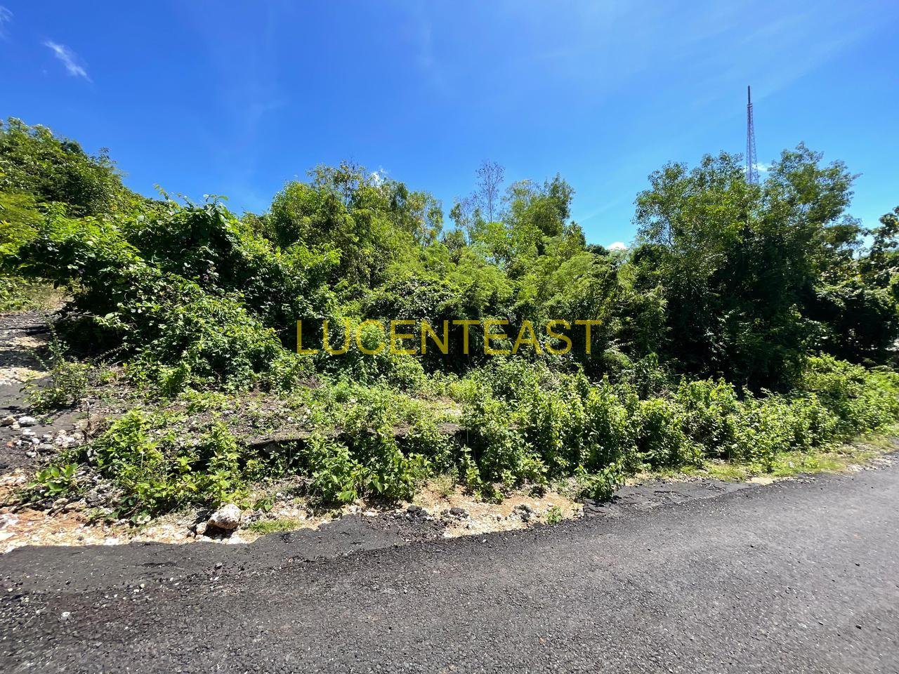 DIJUAL TANAH KAVLING LOKASI UNGASAN
