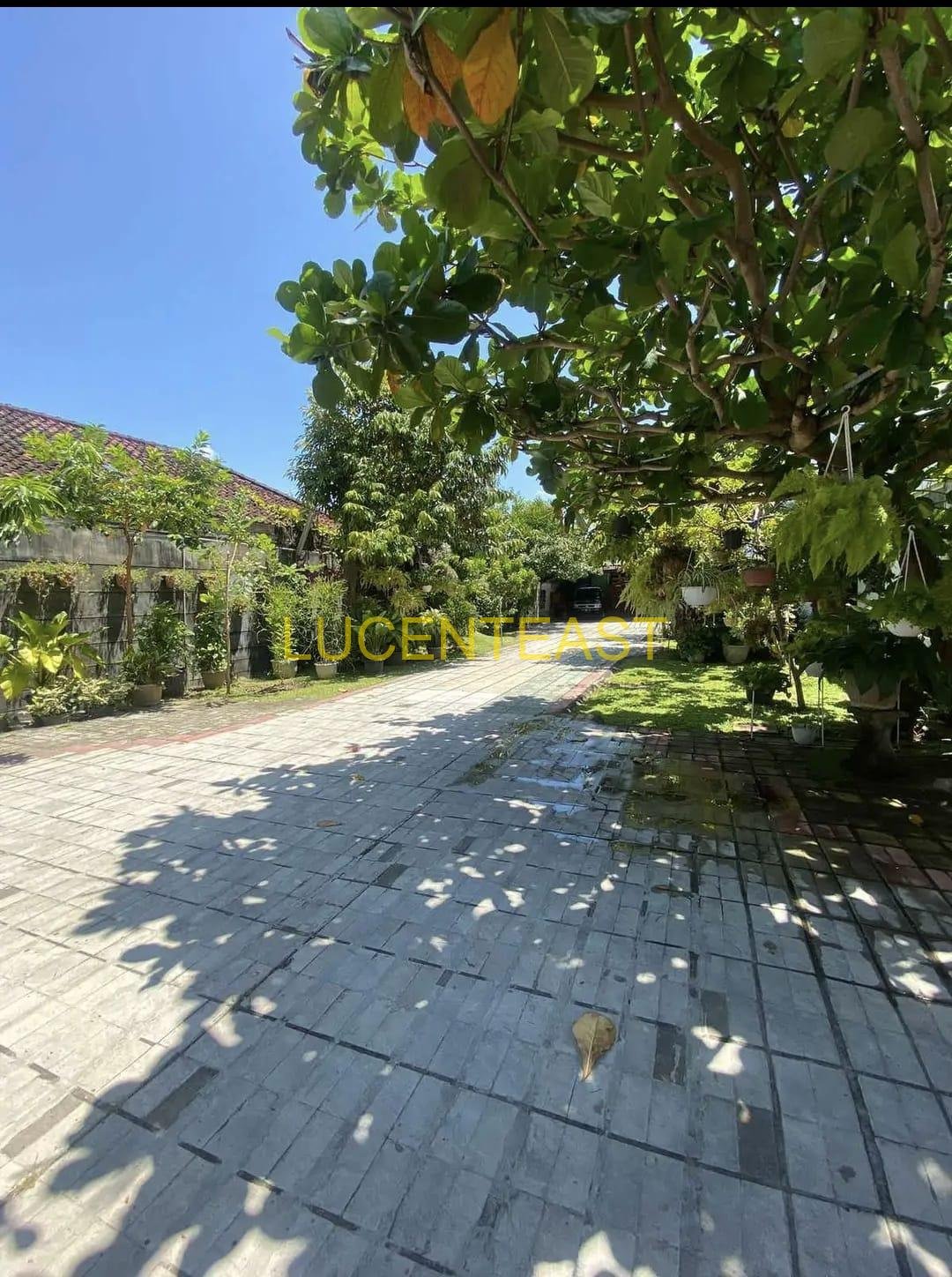 JUAL RUMAH MEWAH PUSAT KOTA DIPONEGORO