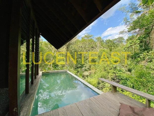 FOR SALE VILLA AT UBUD