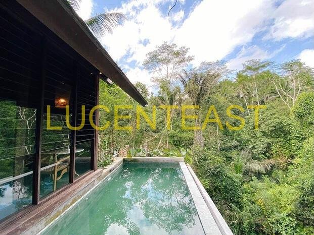 FOR SALE VILLA AT UBUD
