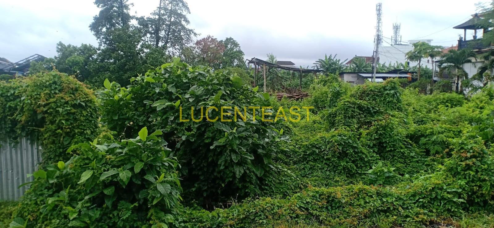 JUAL TANAH LOKASI PRIME TK.BADUNG