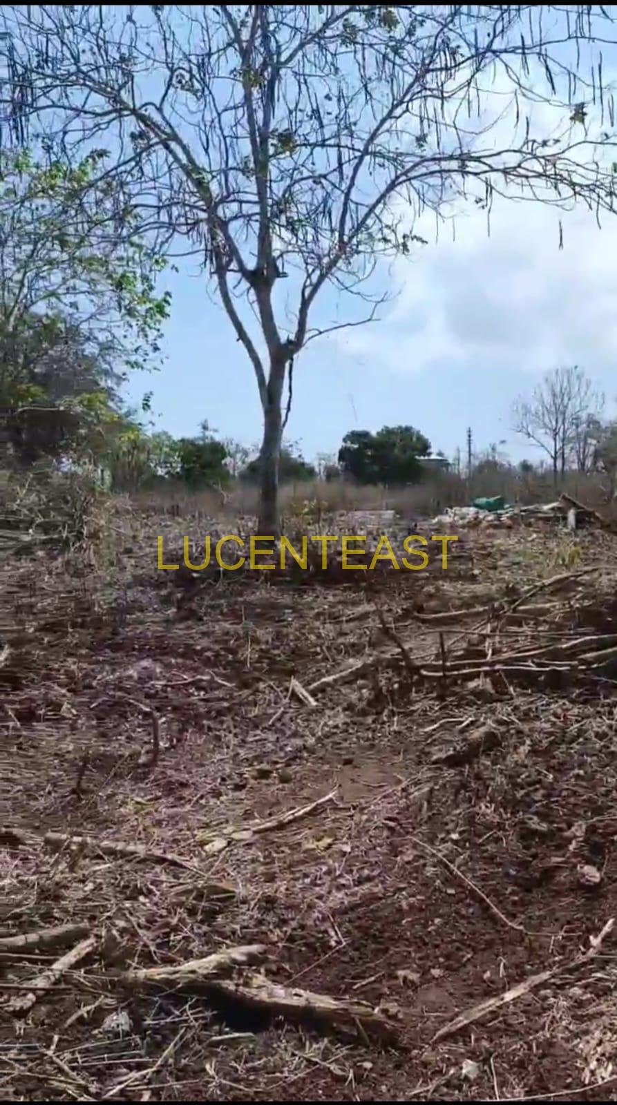 JUAL TANAH BUC AREA JIMBARAN