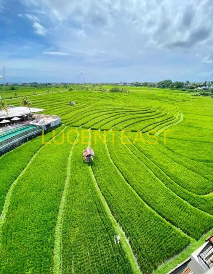 JUAL APARTEMENT VIEW SAWAH CANGGU