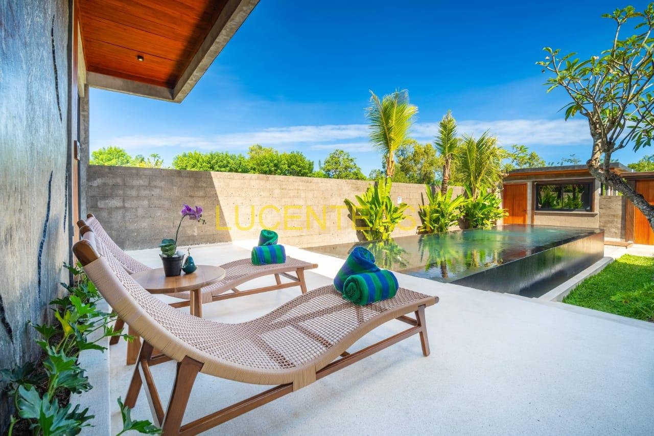 JUAL SEWA BRAND NEW LUXUARY VILLA UNGASAN