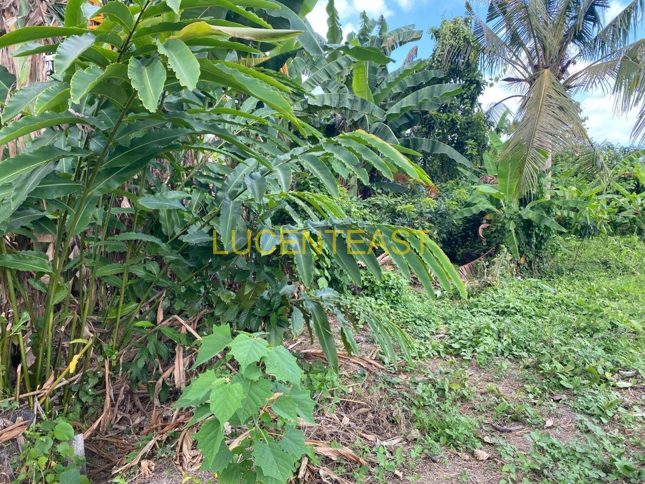 JUAL TANAH BAGUS TULIKUP
