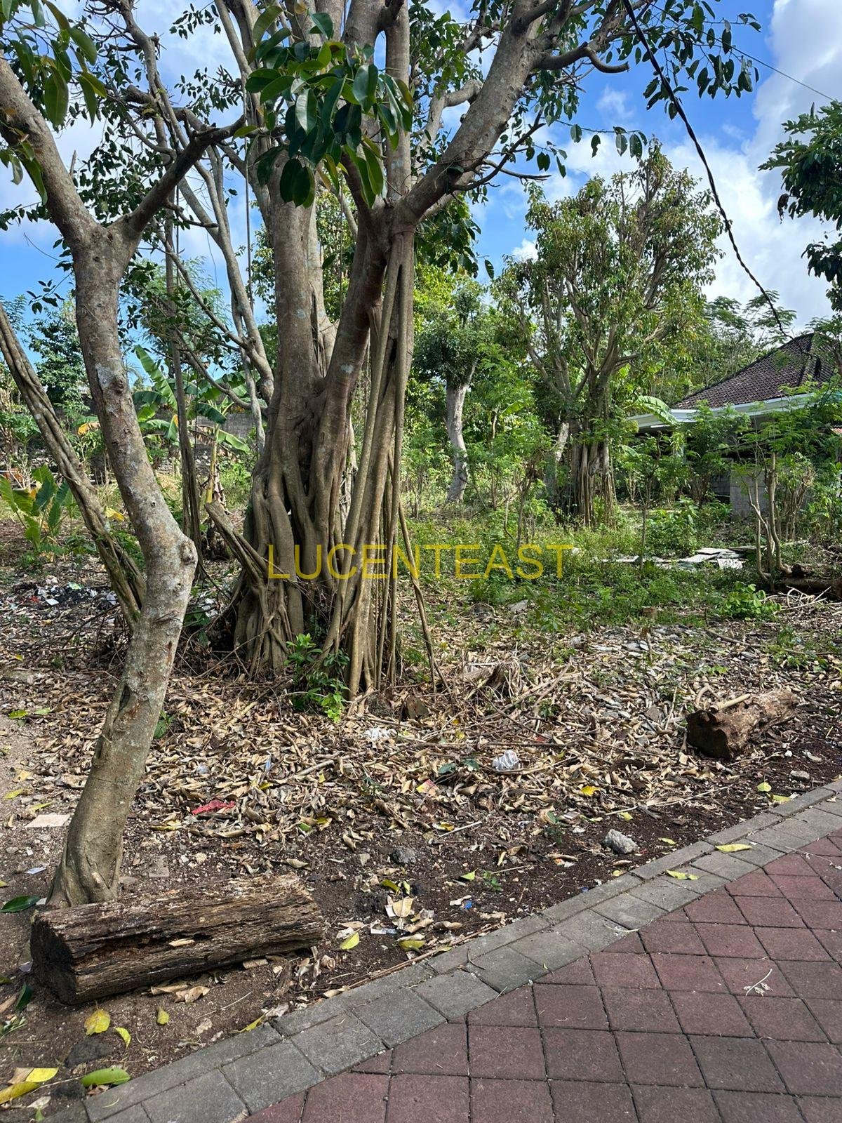 JUAL TANAH STRATEGIS UNGASAN