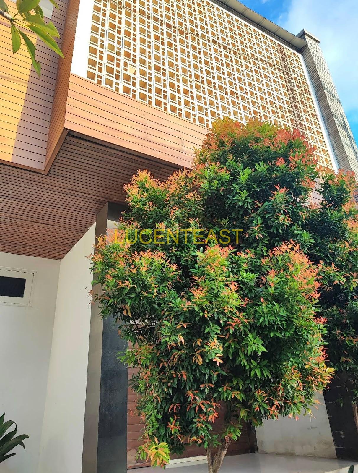 JUAL VILLA MODERN BERAWA